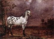 paulus potter The Spotted Horse Sweden oil painting artist